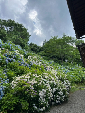 やっぱ研修の仕事好きやわ。僕。